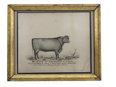 PORTRAIT OF A BULL BY CARL FREIGAU (OHIO, B. 1849)