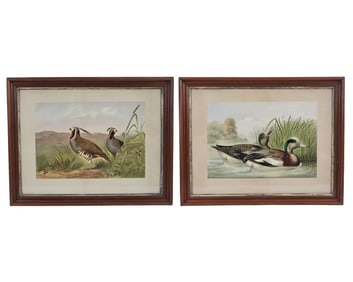 TWO BIRD PRINTS BY ALEXANDER POPE, JR. (MASSACHUSETTS, 1849-1924)