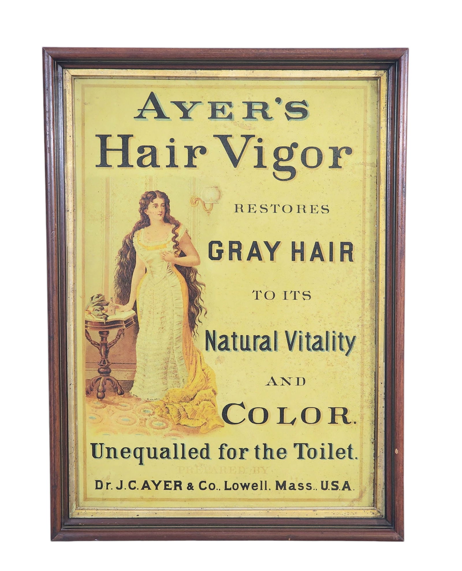PAIR OF DR. AYER'S MEDICINE ADVERTISING SIGNS (1 of 8)