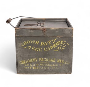 DOWN PATENT EGG CARRIER