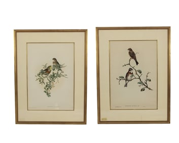 TWO ORNITHOLOGICAL PRINTS