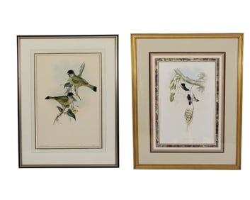 TWO ORNITHOLOGICAL PRINTS
