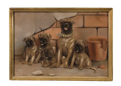 PORTRAIT OF PUPPIES