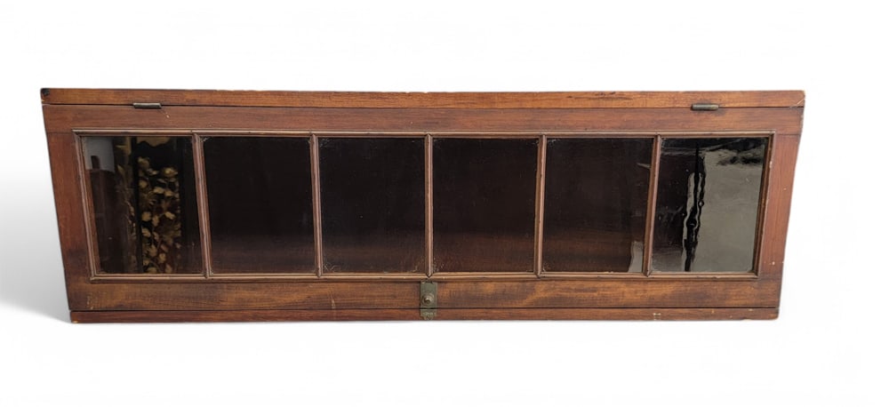 GLAZED-DOOR CUPBOARD OR DISPLAY CASE (1 of 5)