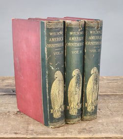 WILSON AND BONAPARTE, AMERICAN ORNITHOLOGY, 3 VOLUMES