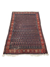 ORIENTAL RUG