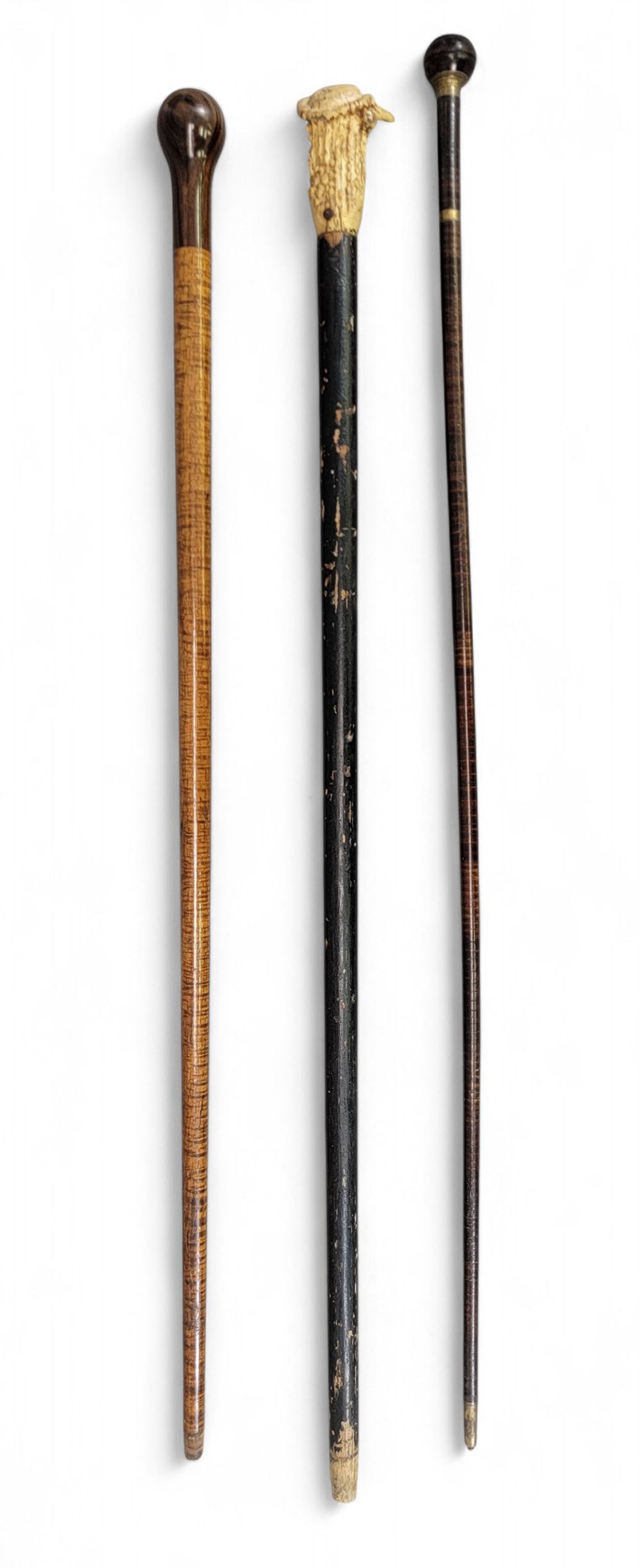 THREE WALKING STICKS (1 of 8)