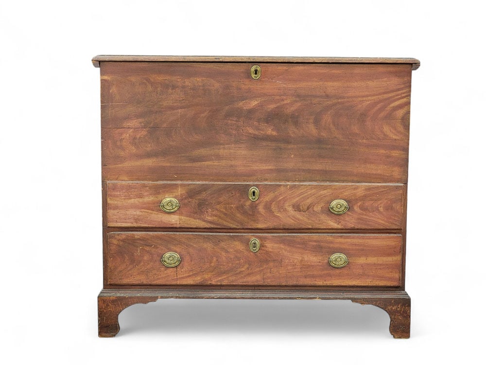 GRAIN PAINTED MULE CHEST (1 of 7)