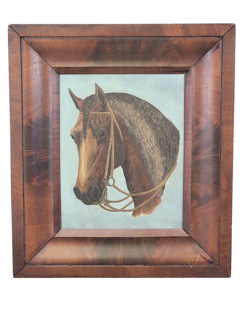 PORTRAIT OF A HORSE (1 of 3)