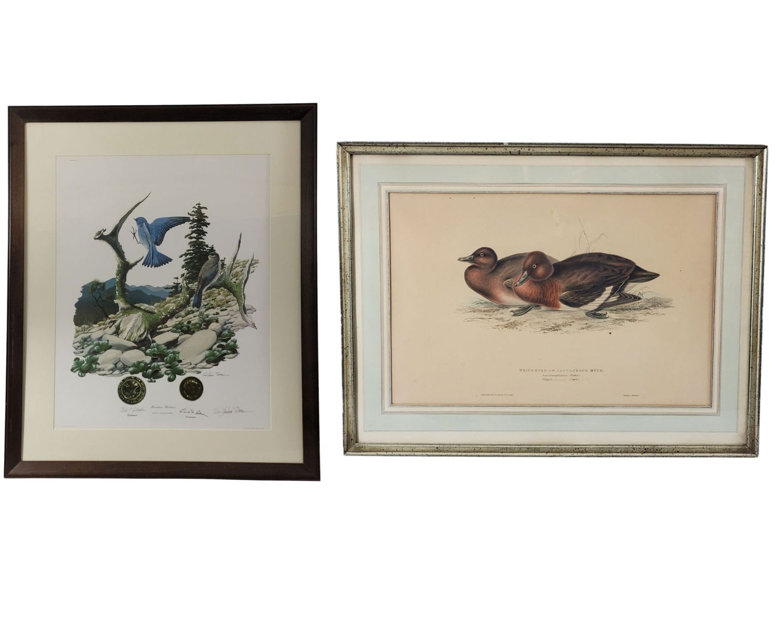 TWO BIRD PRINTS (1 of 8)