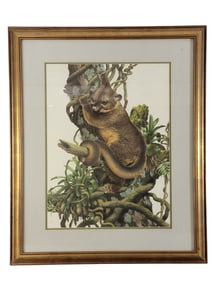 AXEL AMUCHASTEGUI (ARGENTINA, 1921-2002), KINKAJOU