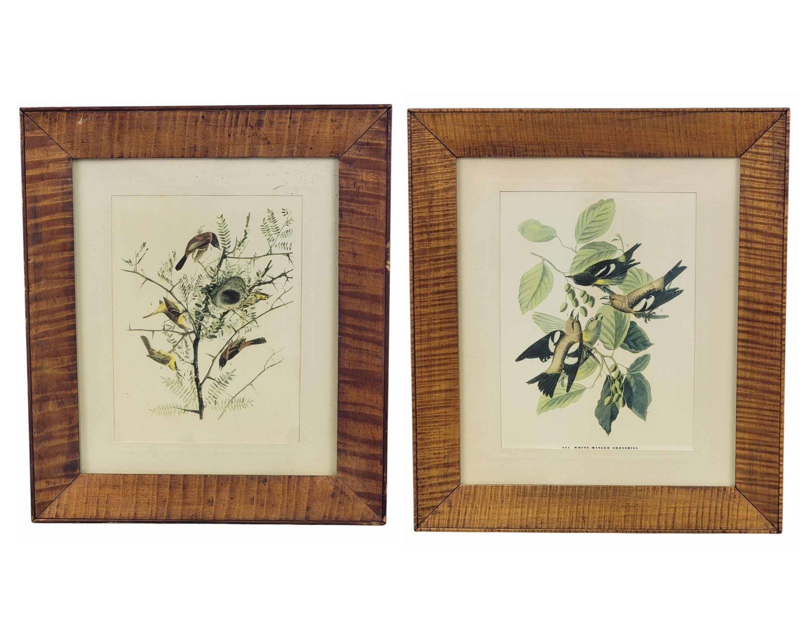 PAIR OF ZOAR, OHIO FRAMES (1 of 7)