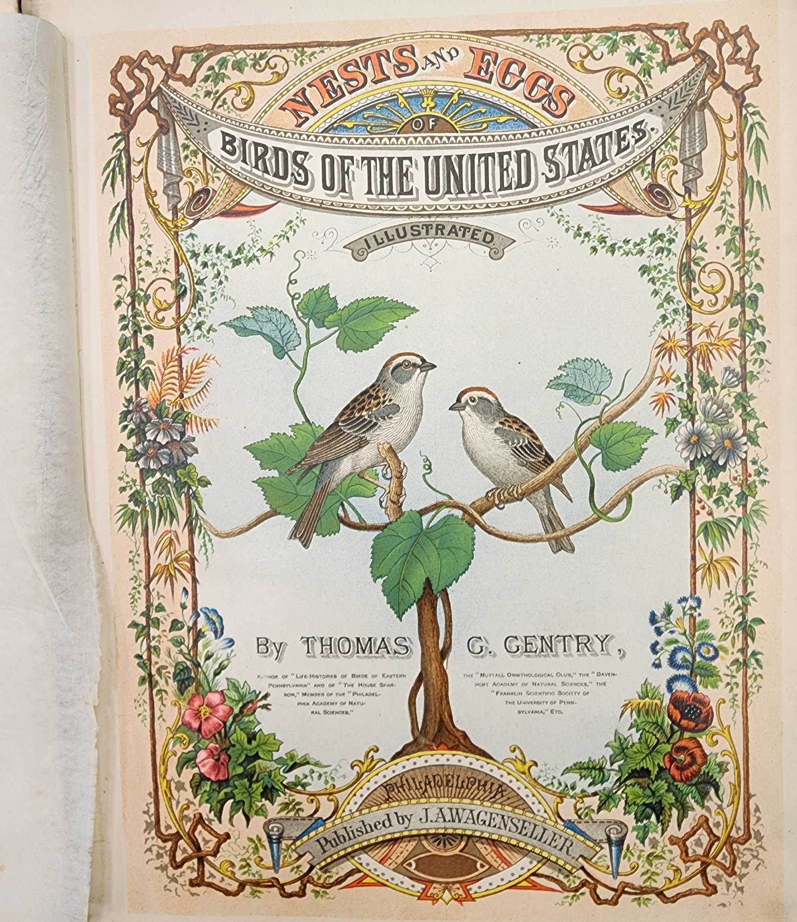 GENTRY'S NESTS & EGGS OF THE BIRDS OF THE UNITED STATES: Philadelphia: J.A. Wagenseller, 1882. 4to, contains 34 chromolithographed plates, bound in leather. Thomas Gentry originally published his landmark work in 25 parts in illustrated wraps containing 54