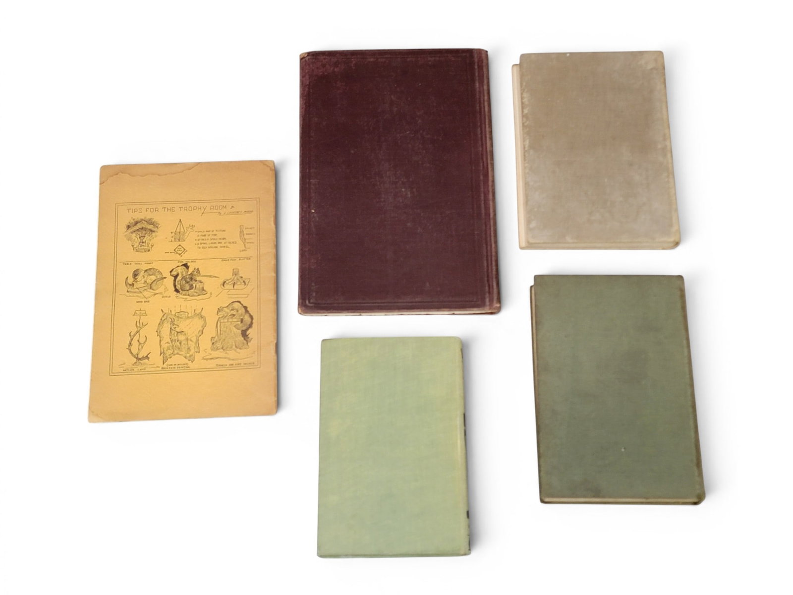 COLLECTION OF BOOKS ON TAXIDERMY (1 of 1)
