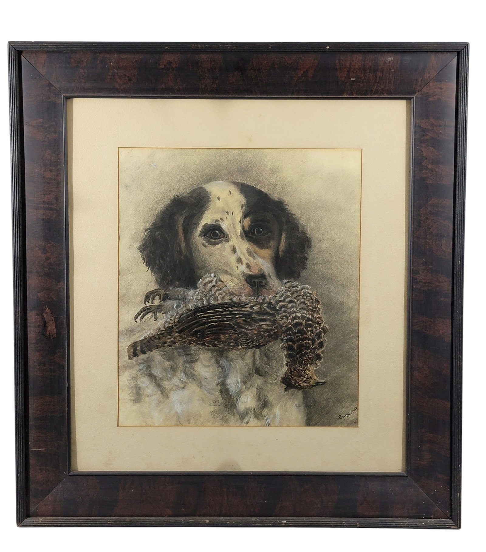 PORTRAIT OF A HUNTING DOG: Signed "Burghardt" lower right, American, early 20th century, pastel on paper. Portrait of a bird dog holding a grouse. 16" high, 15.25' wide (sight), matted and it a period frame, 31" high, 28.5"
