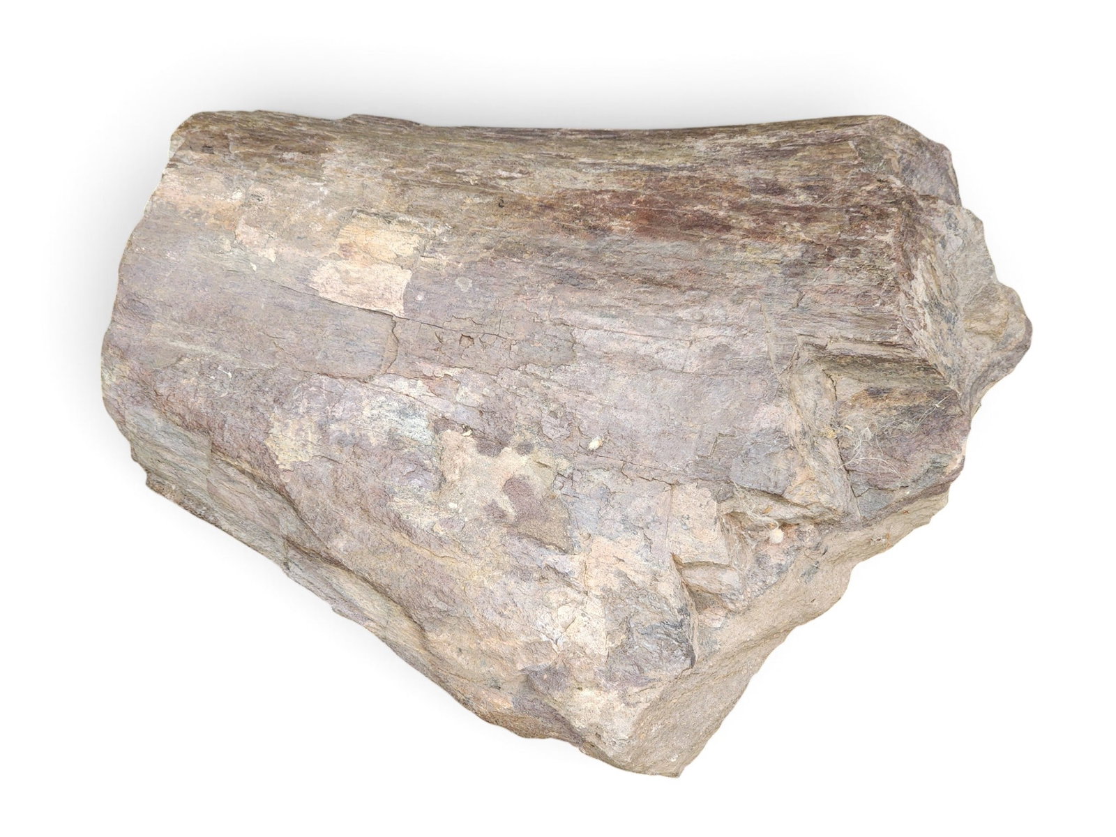 PETRIFIED WOOD SPECIMEN: 18" by 17" by 8". Provenance: a western New York collection. NOTE: We are happy to answer questions and take additional photos of lots prior to the auction (the sooner submitted the better). Any