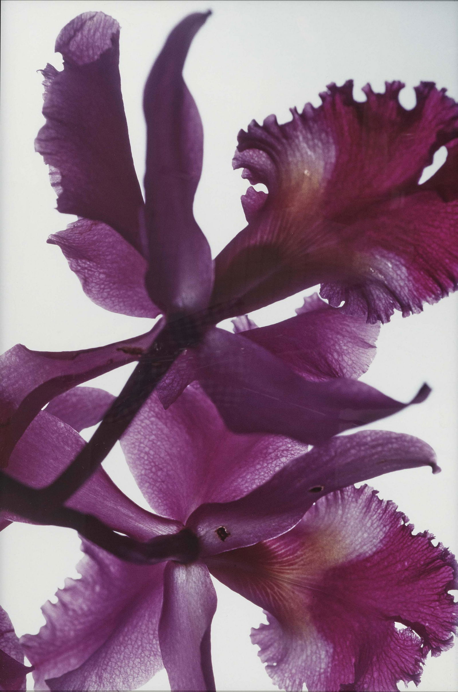 Ricochet. 1999: Thomas Florschuetz - Ricochet. 1999 Künstler Thomas Florschuetz Manufaktur/ rt/ Design/ Biographie 1957 Zwickau Beschreibung Verso signiert, datiert und betitelt. C-Print auf A