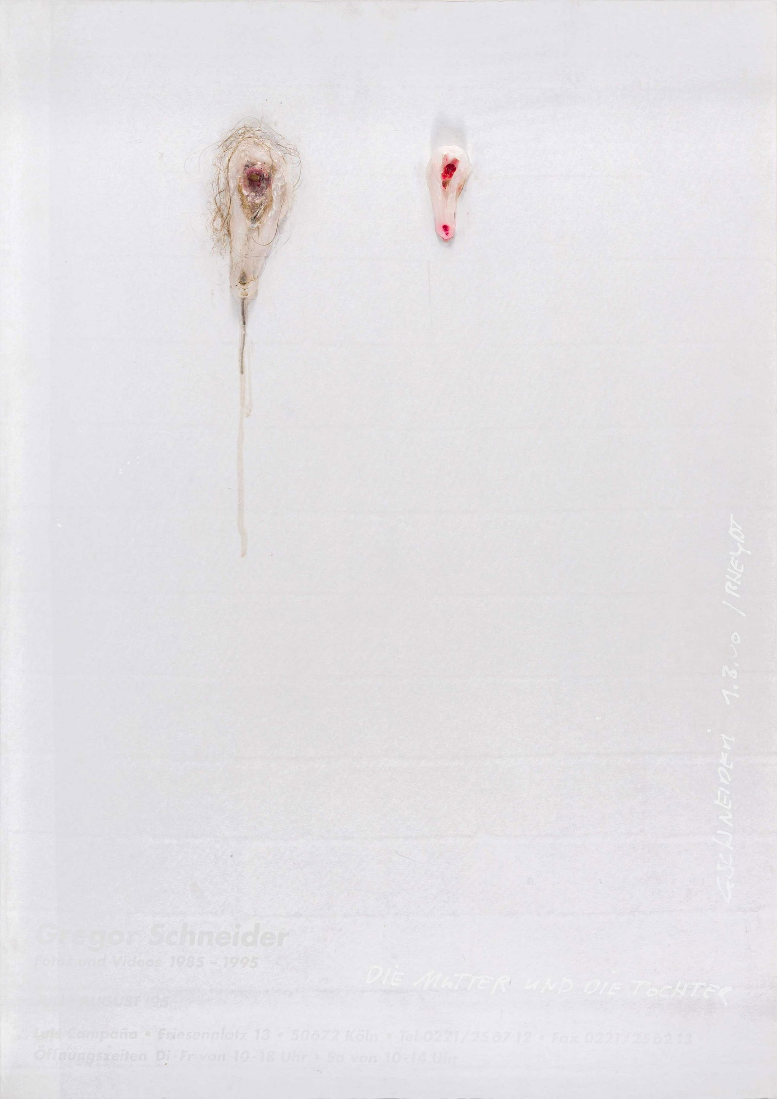 GREGOR SCHNEIDER, Die Mutter und die Tochter: GREGOR SCHNEIDER (1969) Die Mutter und die Tochter 2000 Gypsum, silicone and hair in plexiglass box 86 x 61 cm Titled, signed and dated lower right Work accompanied by a certificate of authenticity an