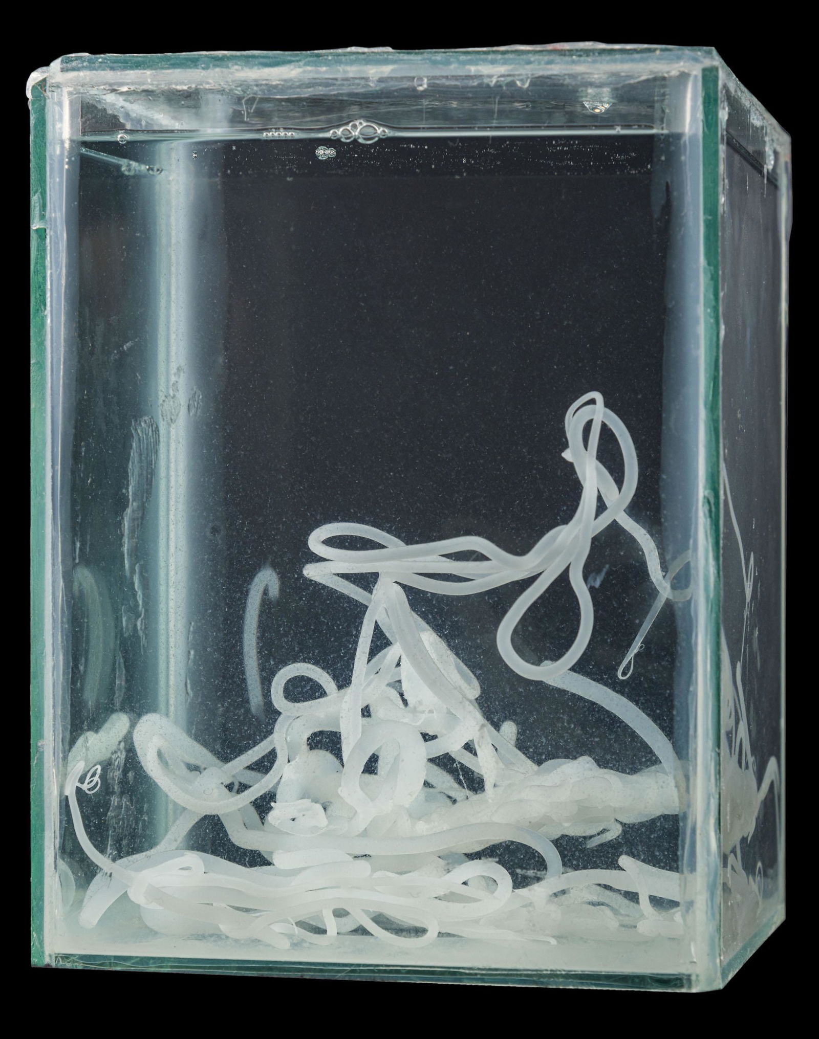 GREGOR SCHNEIDER ® (1969) Sperm: 1997 Water and silicone in glass box 21 x 16 x 15,5 cm Work accompanied by a certificate of authenticity and provenance released by the Luis Campana Gallery, Cologne PROVENANCE: Luis Campana Gallery,