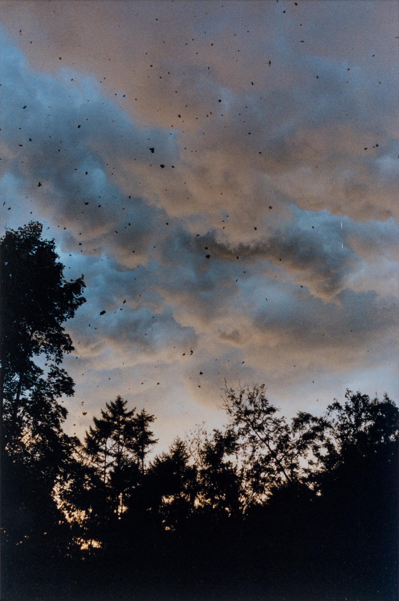 KRIS MARTIN, Letze Hoffnung: KRIS MARTIN -1972 Letze Hoffnung 2002 C-print, ed. 3/3 from an edition on 3 examples and 1 artist's proof 37,5 x 25 cm Signed and numbered on the reverse Work accompanied by a certificate of authentic