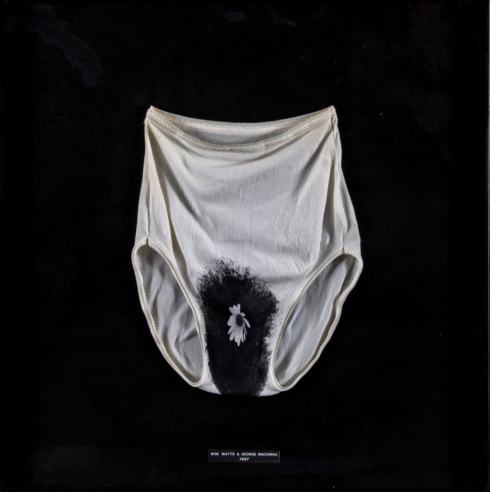 MACIUNAS GEORGE, WATTS ROBERT, Underpants implosion (1 of 1)