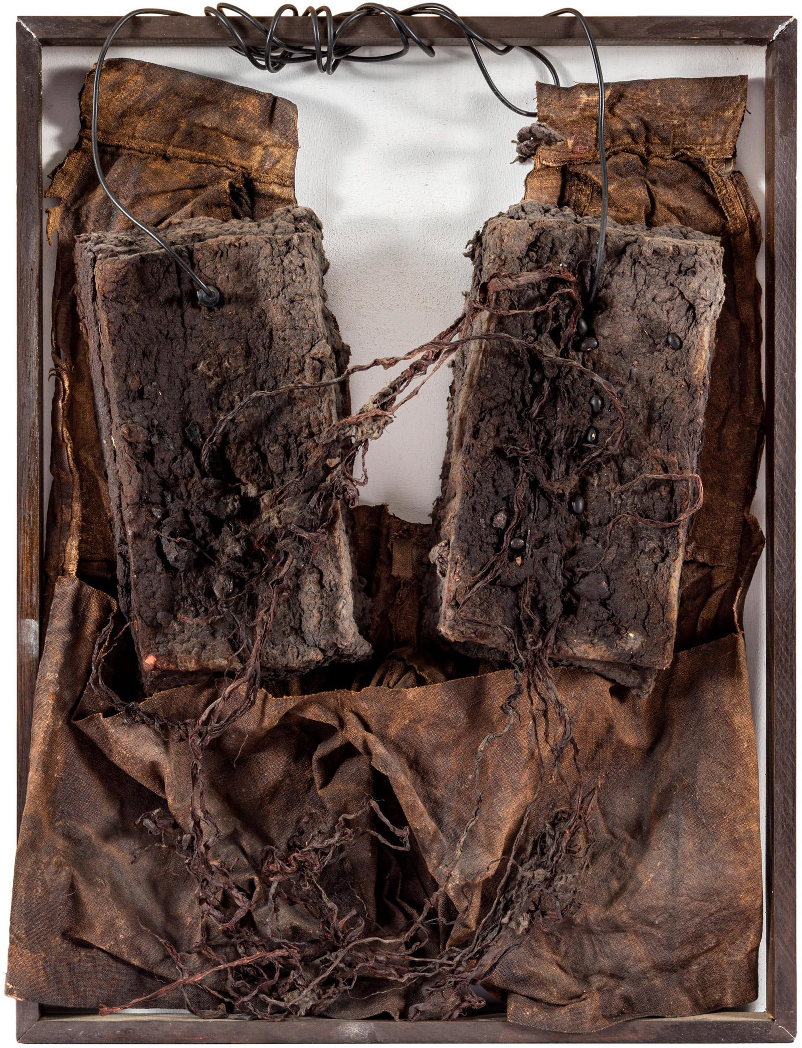 ALISON KNOWLES, La rana (1 of 1)