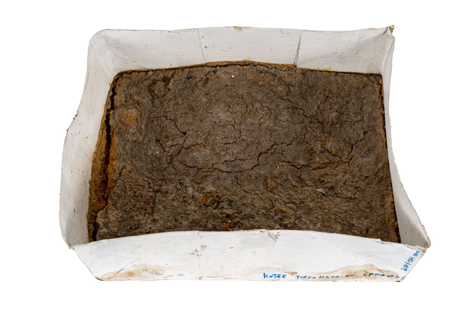 GREGOR SCHNEIDER, Kotze (Totes Haus u r Venedig): GREGOR SCHNEIDER (1969) Kotze (Totes Haus u r Venedig) 2001 Wood, paper and vomit, unique piece 18 x 49 x 34 cm Signed, titled and dated on one box side Work accompanied by a certificate of authentici