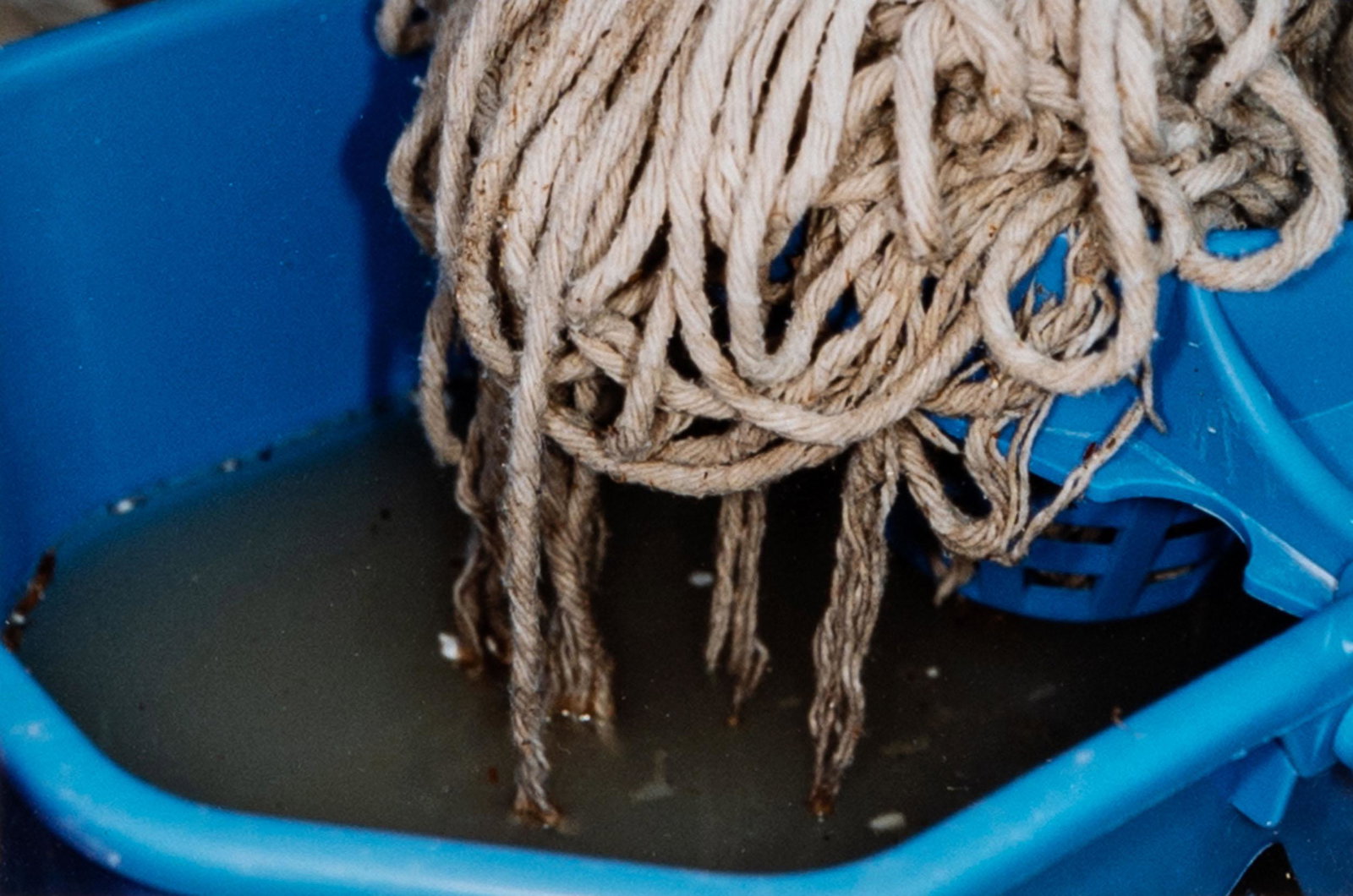 MARTIN PARR, Untitled (1 of 20)