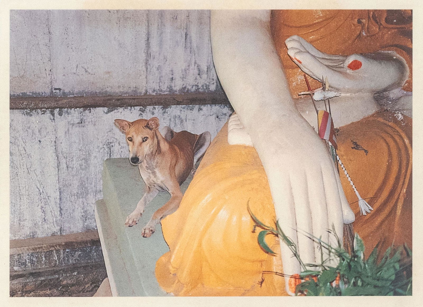 FRANCIS ALYS, Untitled: FRANCIS ALYS(1959)Untitled1998Postcard of the solo show 'Dog Rose' at the Or Gallery, Vancouver10,5 x 14,5 x cmAutograph writings on the reversePROVENANCE:Galerie Peter Kilchmann, ZurichPrivate collec