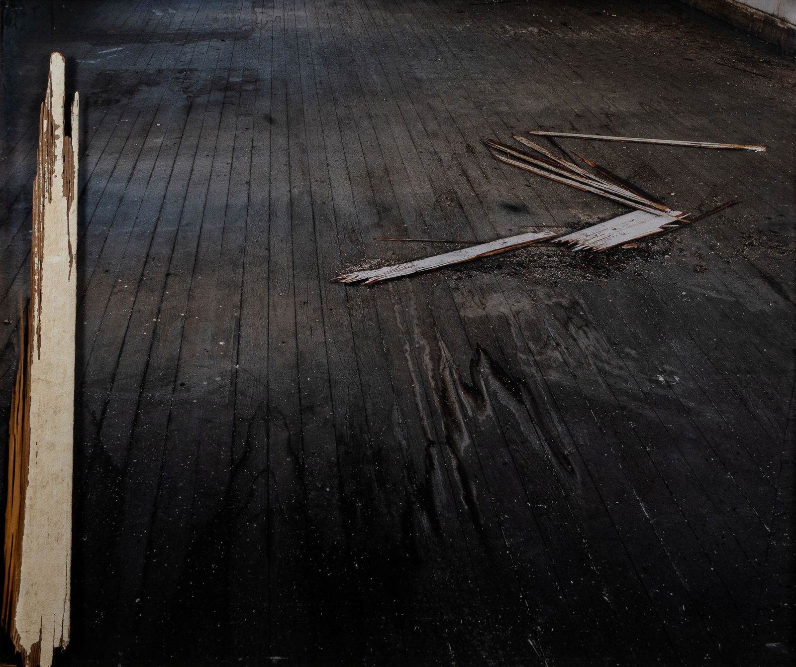 DANIEL SENISE, W.L. 140, setembro 2008 IV: DANIEL SENISE(1955)W.L. 140, setembro 2008 IV2009Inkjet print and wooden application90 x 108 cmSigned, dated and titled on the reverseWork accompanied by a certificate of authenticity signed by the ar