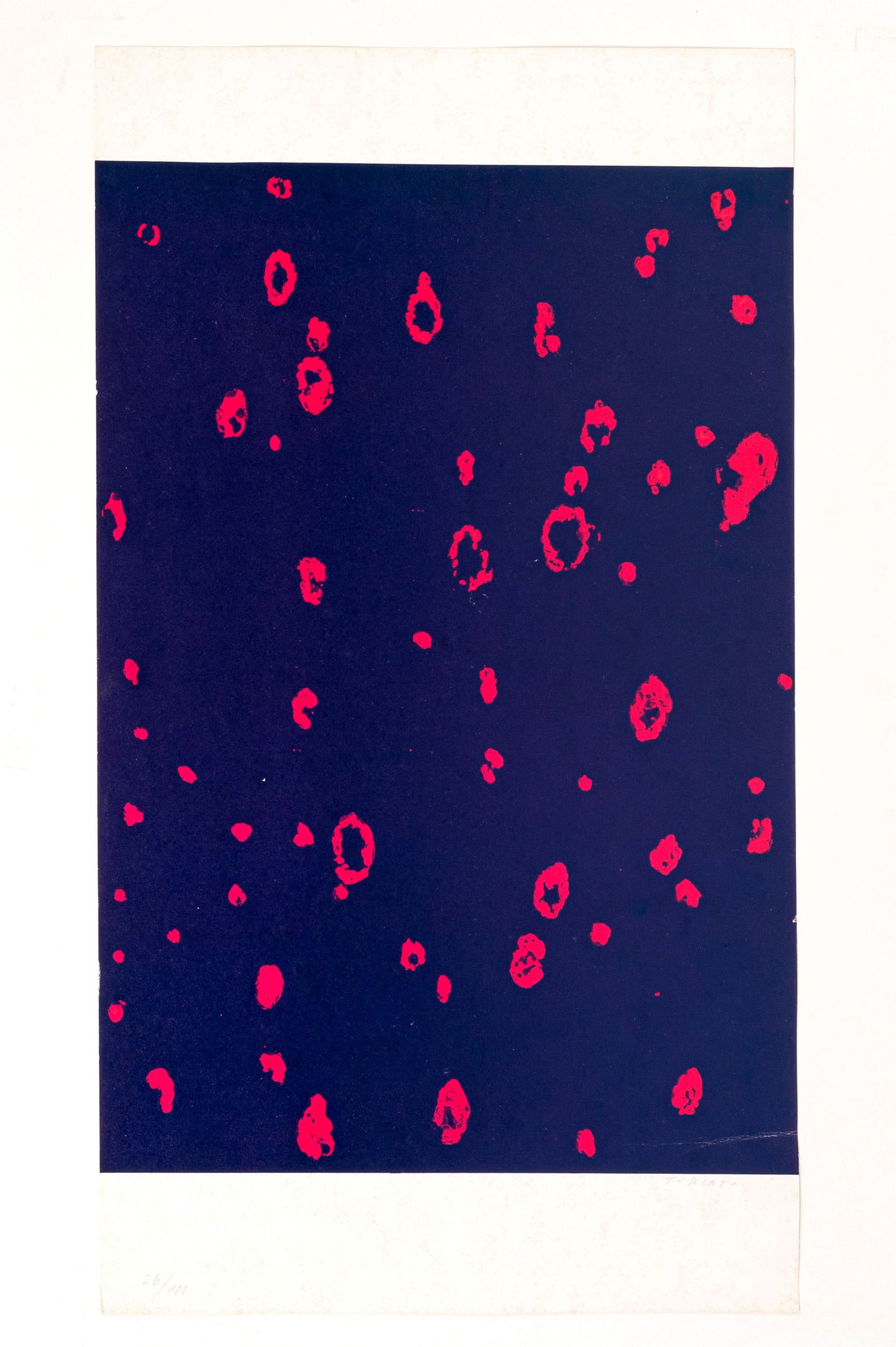 GIULIO TURCATO (1912 - 1995) Senza titolo Serigrafia, es. 26/100 63,4 x 35,2 cm Firmata a matita in: GIULIO TURCATO (1912 - 1995) Senza titolo Serigrafia, es. 26/100 63,4 x 35,2 cm Firmata a matita in basso a destra e numerata in basso a sinistra PROVENIENZA: Collezione privata, Milano