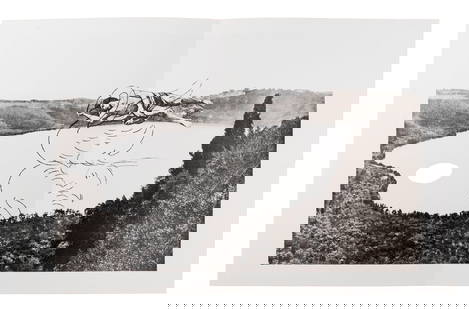 GIULIO PAOLINI, L'exil du cygne: GIULIO PAOLINI (1940) L'exil du cygne 1984 Phototype panel with text by Germano Celant, ed. 188/500, Edizioni Fratelli Alinari Stamperia d'Arte, Florence Dimension of the folder 52 x 42 cm Dimension o