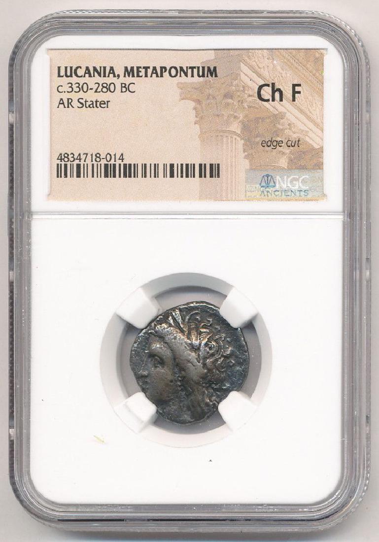 LUCANIA - METAPONTUM AR STATER F NGC ANCIENT: LUCANIA - METAPONTUM AR STATER F NGC ANCIENT WINNER SHALL RECEIVE EXACT COIN SHOWN.