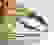 item-78628122=4