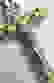 item-78744893=2