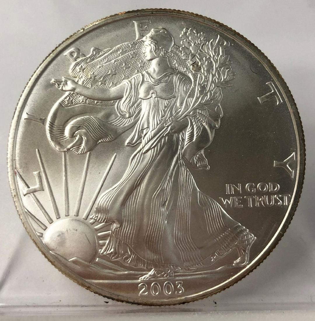 2003 AMERICAN SILVER EAGLE FRESH MS69 UNGRADE: 2003 AMERICAN SILVER EAGLE FRESH! MS69 UNGRADED WINNER SHALL RECEIVE EXACT COIN SHOWN HERE