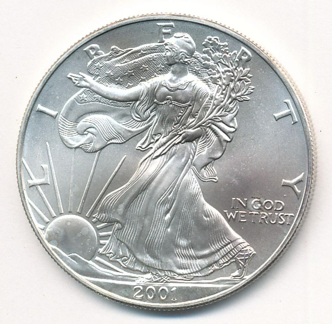 2001 AMERICAN SILVER EAGLE: WINNER SHALL RECEIVE THE EXACT COIN SHOWN HERE