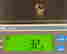 item-91457732=13