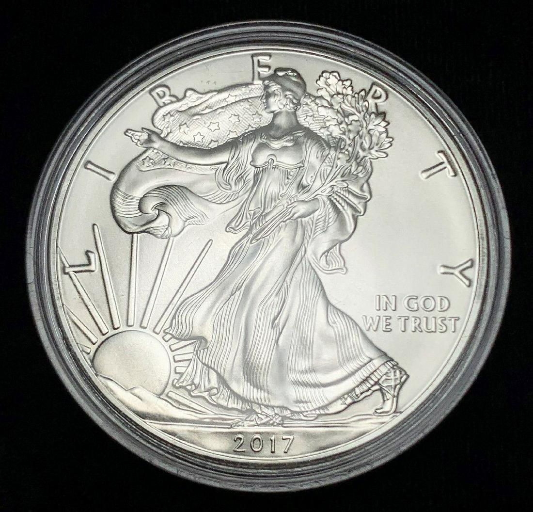 2017 American Silver Eagle MS69: WINNER SHALL RECEIVE THE EXACT COIN SHOWN HERE