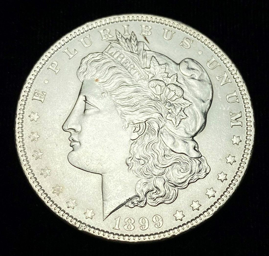 1899-P Morgan Silver Dollar MS63 (1 of 4)
