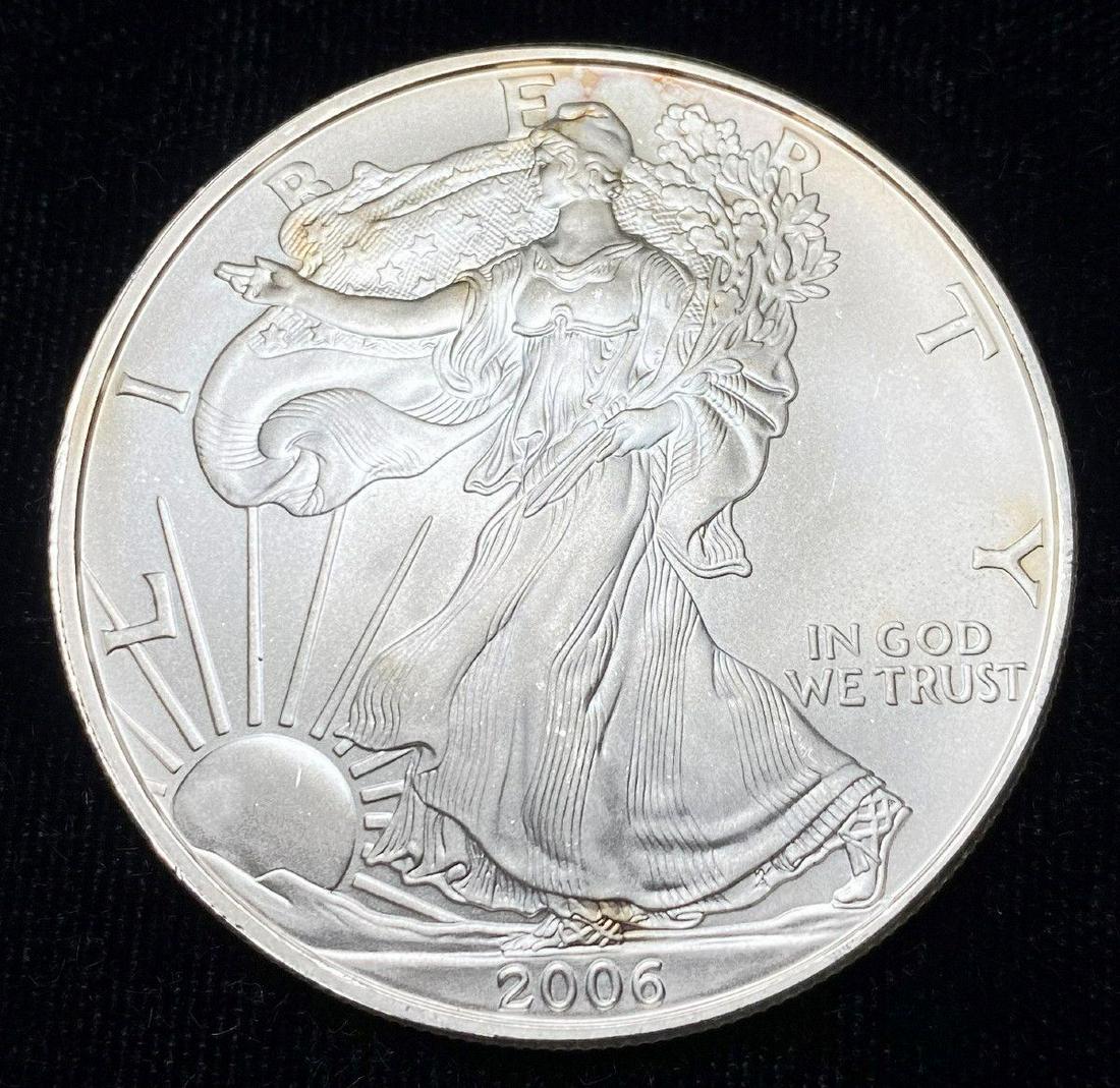 2006 American Silver Eagle MS69 (1 of 2)