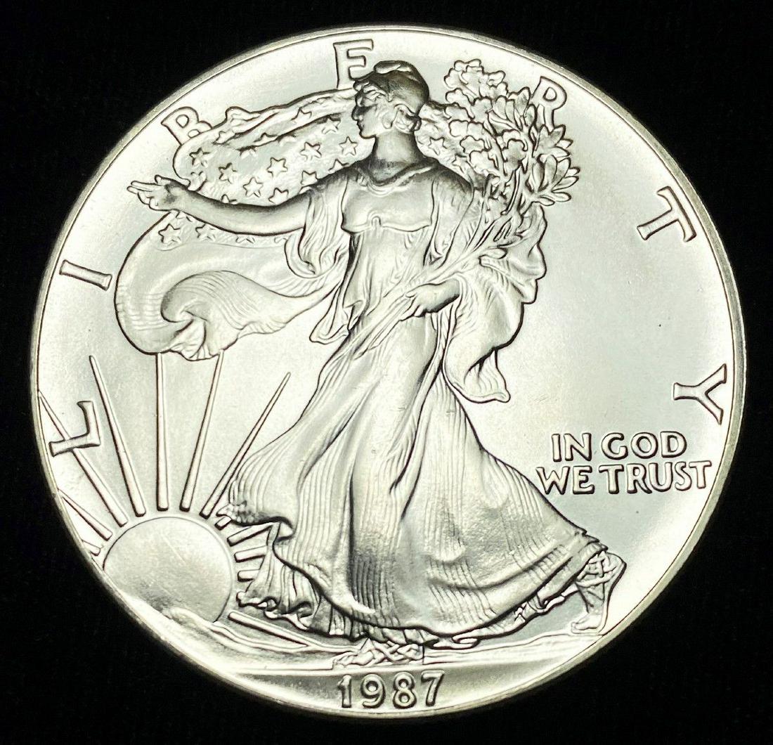 1987 American Silver Eagle MS69 (1 of 2)