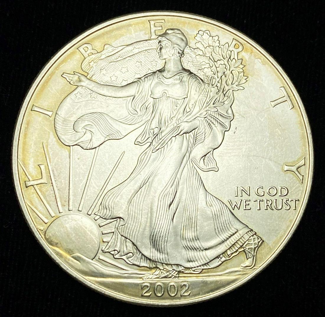 2002 American Silver Eagle MS69 (1 of 2)