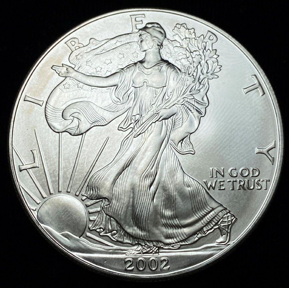 2002 American Silver Eagle: Winner shall receive a coin precisely resembling the one shown here.