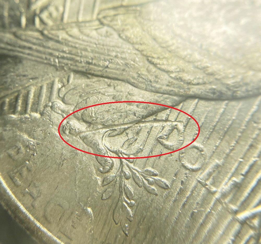 Mint Error 1923 Silver Peace Dollar NGC MS63 (1 of 3)