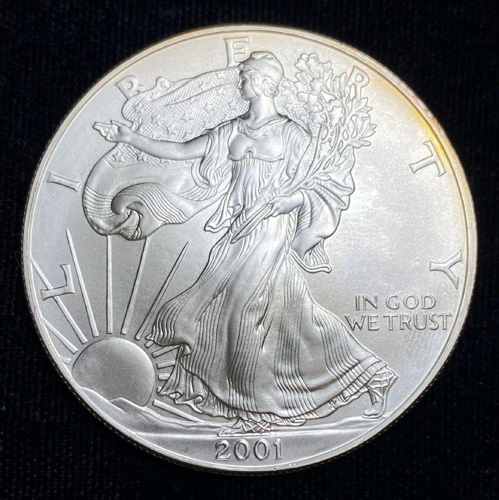 2001 American Silver Eagle MS69 (1 of 1)