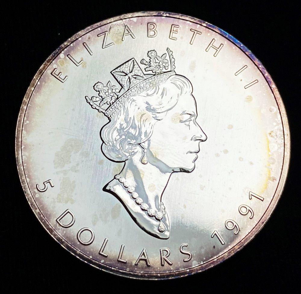 1991 Canada $5 Maple Leaf 1oz Silver (1 of 2)