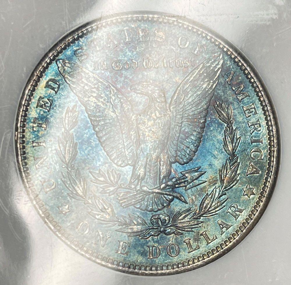 1891 Morgan Silver $1 NGC MS63 Electric Eel Blue Rev. (1 of 10)