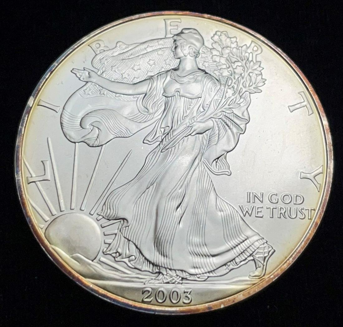2003 American Silver Eagle: Winner shall receive the exact coin shown here. (EM/TVC)