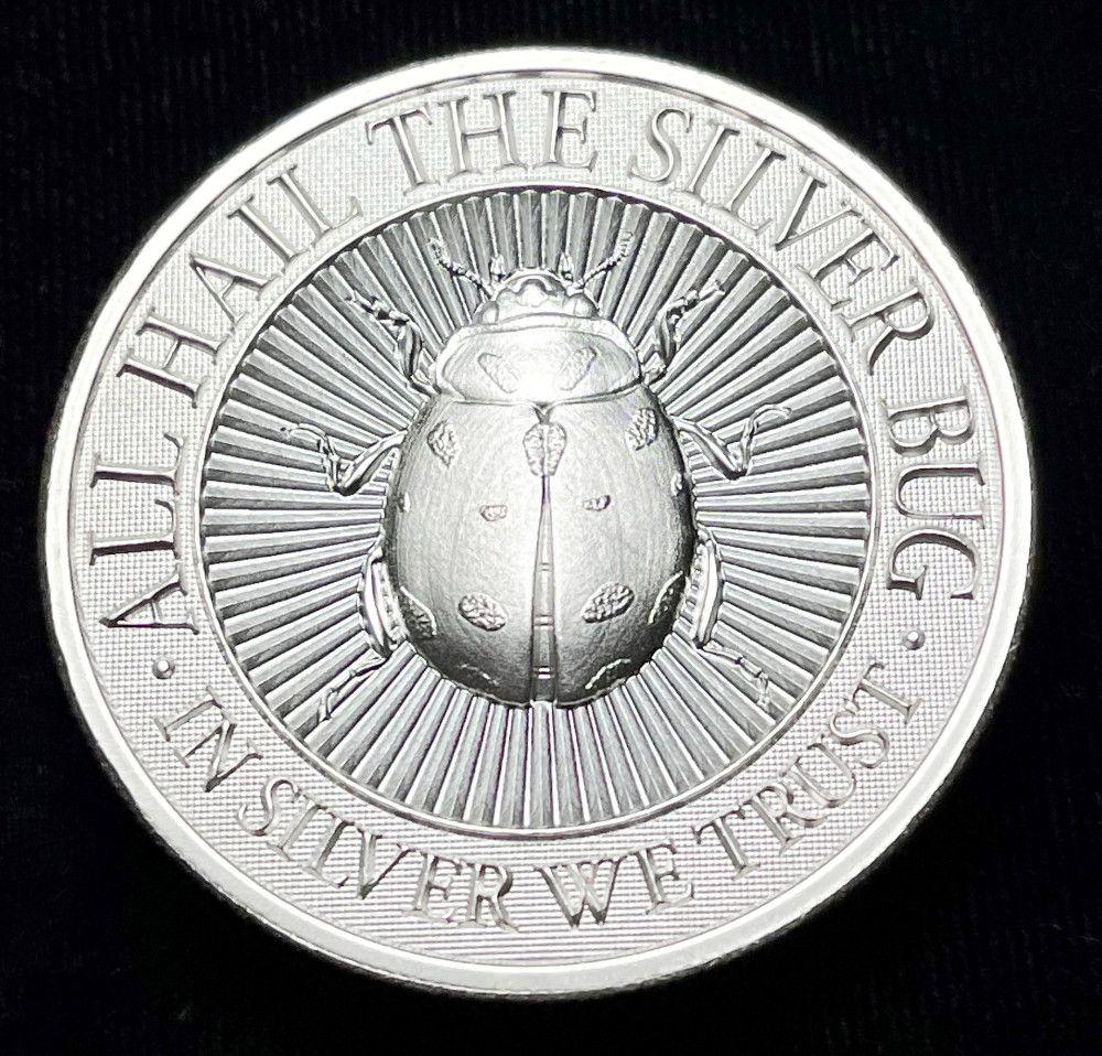 Intaglio Mint Lady Bug 2 oz Silver (1 of 4)